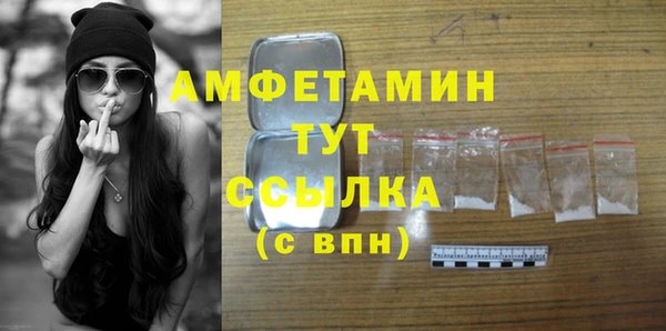 ГАЛЛЮЦИНОГЕННЫЕ ГРИБЫ Богданович