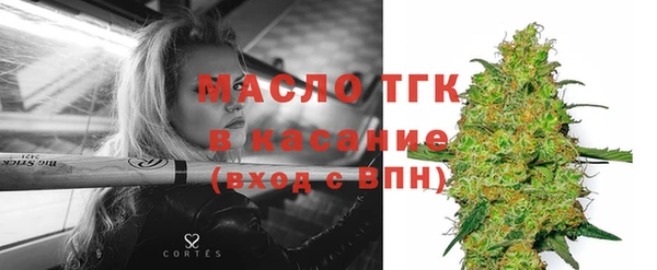 гидра Богородицк