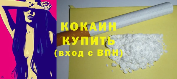 ГАЛЛЮЦИНОГЕННЫЕ ГРИБЫ Богданович