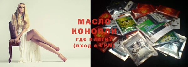 гидра Богородицк