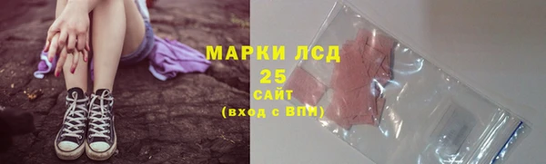 гидра Богородицк