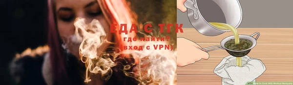 ГАЛЛЮЦИНОГЕННЫЕ ГРИБЫ Богданович