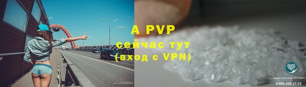 ГАЛЛЮЦИНОГЕННЫЕ ГРИБЫ Богданович
