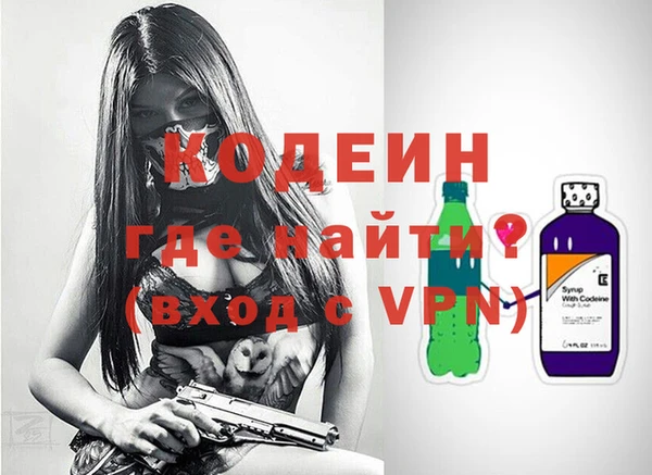 ГАЛЛЮЦИНОГЕННЫЕ ГРИБЫ Богданович