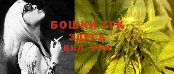 гидра Богородицк