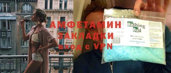 гидра Богородицк