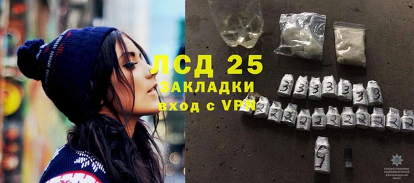 ГАЛЛЮЦИНОГЕННЫЕ ГРИБЫ Богданович