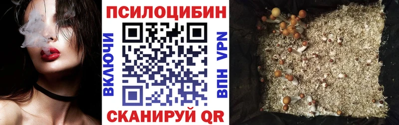 Галлюциногенные грибы Magic Shrooms  купить наркоту  Дубовка 
